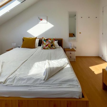 包姚Tanyacsarda Panzio住宿加早餐旅馆 外观 照片